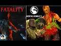 Mortal Kombat 9 Komplete Edition Fatalities With MKX Music And Announcer