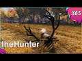 The Hunter Call Of The Wild #365 - Zwei große Rothirsche [Gameplay | Deutsch]