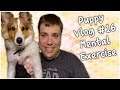 Mental Exercise For Your Dog! - PuppyVlog #16 - MumblesVideos (Puppy Adventures)