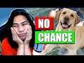 NO CHANCE - RULES OF SURVIVAL with SIR REX