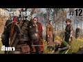The Witcher 3[12]: สีเทา