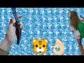 Vlog на море N°2 🐯✌🏻