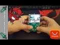 Gameberry Pi Weird Gameboy Handheld System | What is this ?