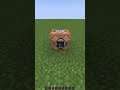 How to get a flying boat in Minecraft using Commands