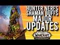 Shaman BUFFED! Hunter NERFED? Major Update In Shadowlands Beta! -  WoW: Shadowlands Beta