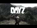 Стрим DayZ Выживание Соло Дуо Квадро))