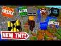 DESTROYING MINECRAFT BUT WITH NEW TNT..