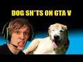Dog Sh*ts on GTA V (2015)