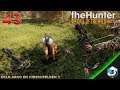 The Hunter Call of Wild - Cap  43 - Solo Arco en Hirschfelden | Gameplay Español