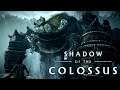 Thunderstruck | Shadow Of The Colossus - Part 11