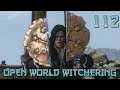 [112]Open World Witchering (Let's Play The Witcher 3) Djinn Agony