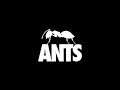 Ants - LeVeL 4 ☆☆☆ (Android)