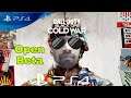 Call of Duty: Black Ops Cold War PS4 Open Beta With sKrout
