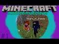 Minecraft modded multiplayer. I have a sever!