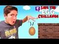 Save the Egg with Bricks Challenge