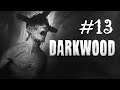 Darkwood [#13][DEŇ10] - Starosta