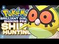 LIVE SHINY HOOTHOOT HUNTING! Pokemon Brilliant Diamond & Shining Pearl Shiny Hunting!