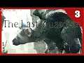 🔴 THE LAST GUARDIAN (PS4) | Directo | #3