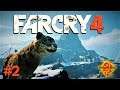FarCry 4 Прохождение #2