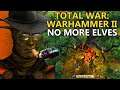 Golden Gelt's Glorious Journey to REMOVE THE ELVES - Total War: Warhammer 2