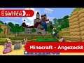 Minecraft (Switch) - Angezockt