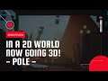 POLE Welcome to a world of 2D and 3D!