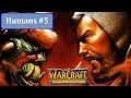 Warcraft: Orcs and Humans - The Forest of Elwynn (Human Mission 5)