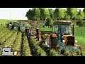 🔥  Wykopki Ziemniaków 🔥 Wakacyjni Rolnicy ⭐️ Farming Simulator 19 🚜