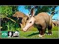 🐼 Aardvark, Warthog & Tortoise Habitat | Speed Build | Planet Zoo | Meilin Zoo | Ep. 20 |