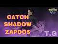 Catch Shadow Zapdos
