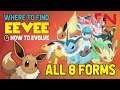 Eevee Evolutions: Vaporeon, Jolteon, Flareon Espeon Umbreon, Leafeon, Glaceon, Sylveon Pokemon Sword
