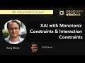 XAI with Monotonic Constraints & Interaction Constraints