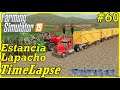 FS19 Timelapse, Estancia Lapacho #60: New Sugarcane Harvester!