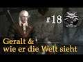 Let's Play The Witcher 1 #18: Geralt und wie er die Welt sieht (Modded / Schwer)