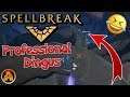 Professional Dingus Bots : Spellbreak Dailies