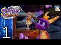 Spyro 2: Ripto's Rage {100%, Reignited} [Part 1: Summer Forest]