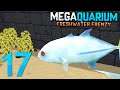 FISH TOO BIG  - Megaquarium Freshwater Frenzy