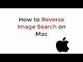 How to Reverse Image Search on Mac (2021)