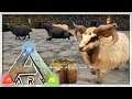 Ich werde Schafshirte! 🐑 | #37 Ark Survival Evolved | Balui miri33 Items4Sacred | deutsch