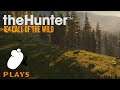 theHunter: Call of the Wild - Stream Highlights #8