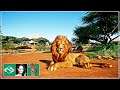 🦒 West African Lion Exhibit | Wildlife Park | Planet Zoo | Inama Zoo |