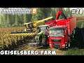 Harvesting sunflower, selling boards | Geiselsberg Farm | Farming simulator 19 | Timelapse #20