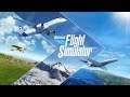 🔴 MICROSOFT FLIGHT SIMULATOR | DERRUBANDO O AVIÃO #01