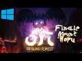 Ori and the Blind Forest Part 9 Finale - Mount Horu 100% PC Playthrough [No Commentary]