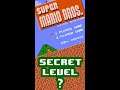 Super Mario Secret Level? #short