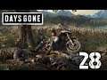 Lost Lake-Let's Play Days Gone Part 28