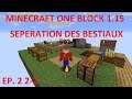 MINECRAFT ONE BLOCK 1.15 ép. 2 2-2 : SEPARATION DES BESTIAUX - LET'S PLAY FR PAR DEASO