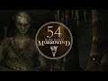 The Eye Of The Needle - Let's Play Morrowind - 54 [Blind - Modded]