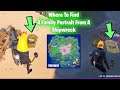Fortnite : Where To Find A Family Portrait From A Shipwreck Locations