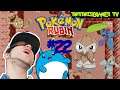 Let's Play Pokémon Rubin Edition ☠REAL BLIND♻️HEG-Projekt(HIGH END GAMING) Part 22 Meteor-Fälle
